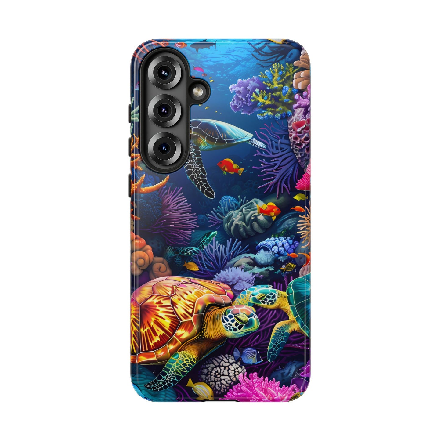 Reef Wonders