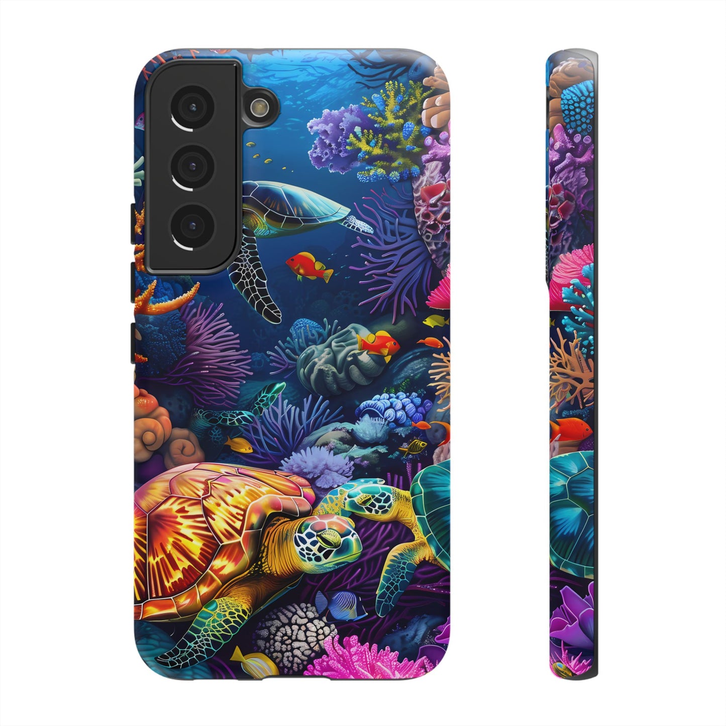 Reef Wonders