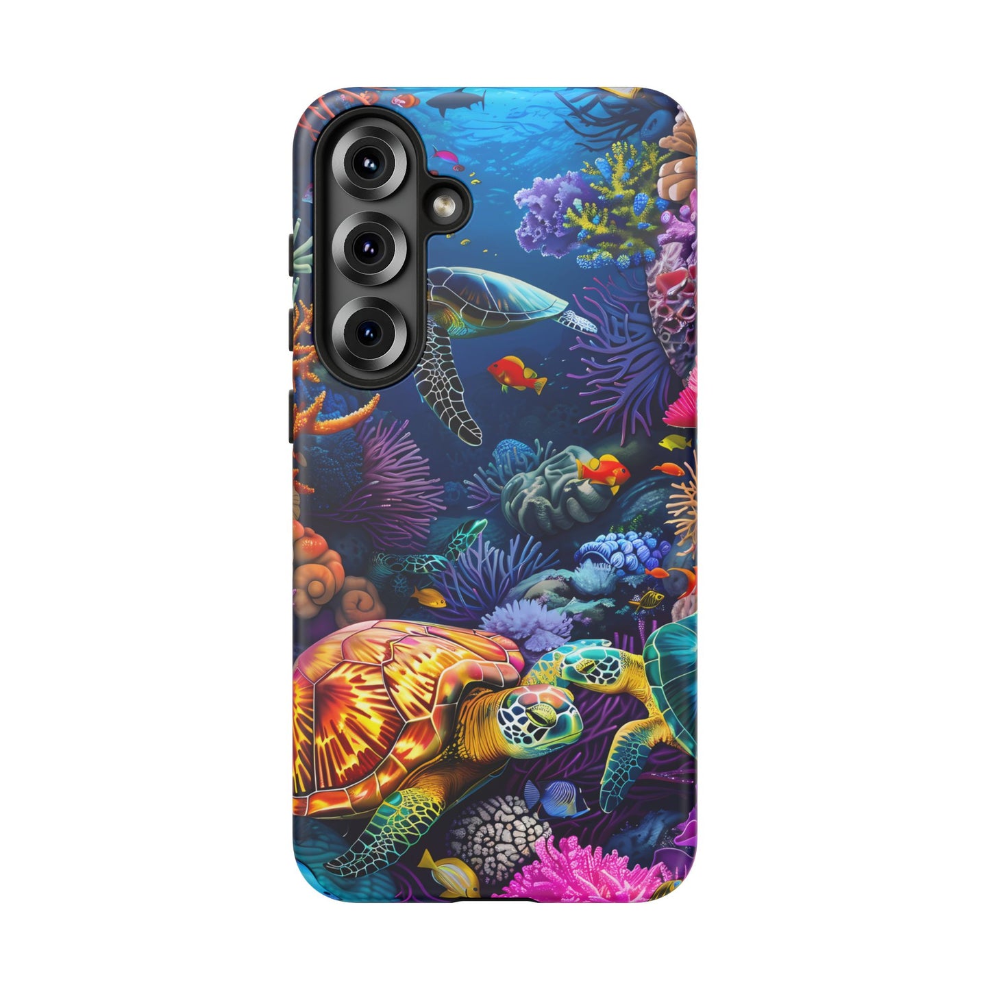 Reef Wonders