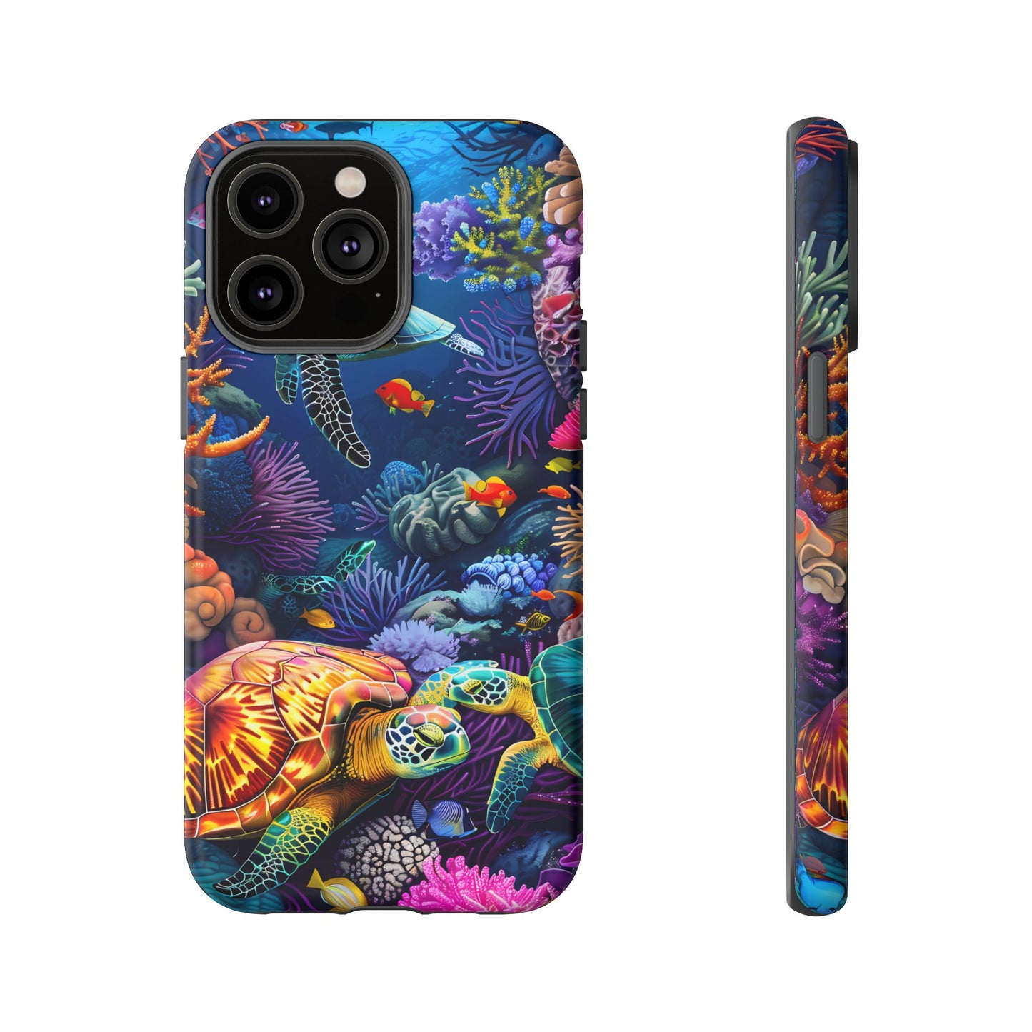 Reef Wonders