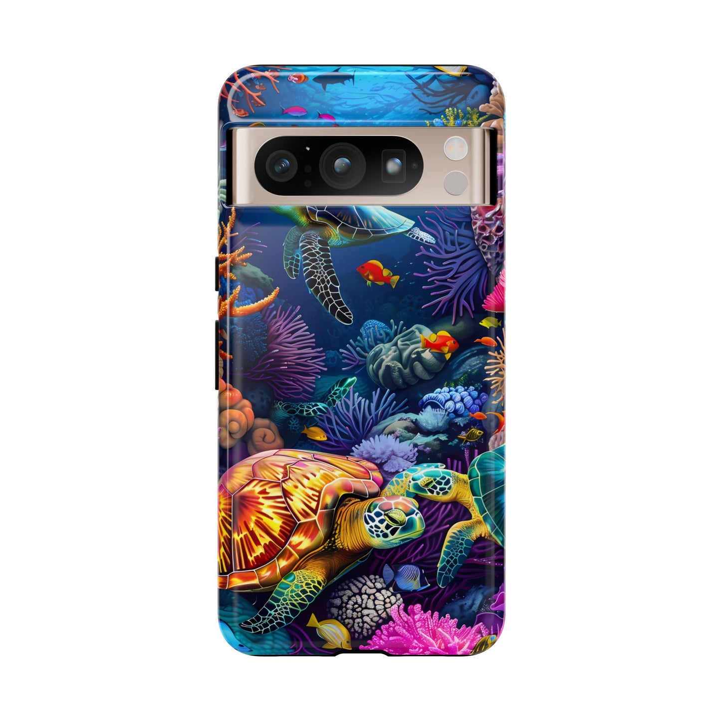 Reef Wonders