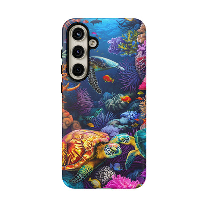 Reef Wonders