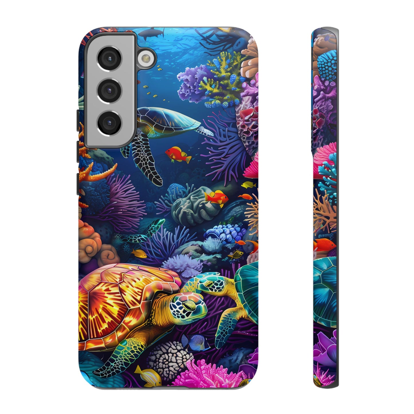 Reef Wonders