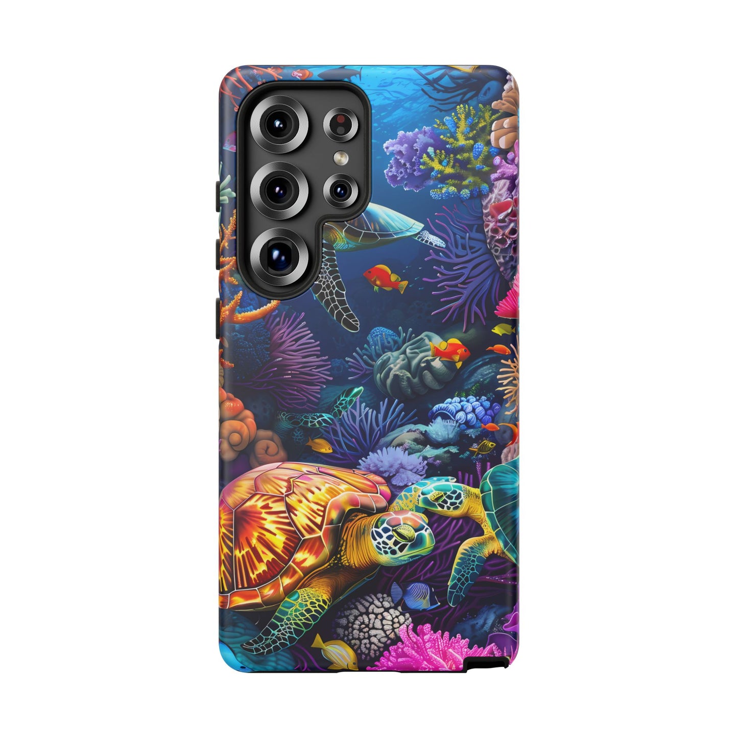 Reef Wonders