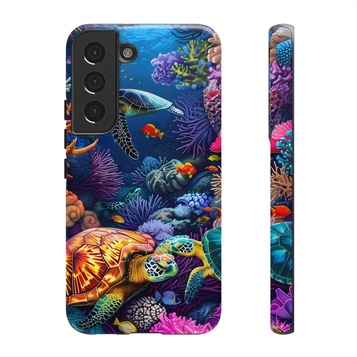 Reef Wonders