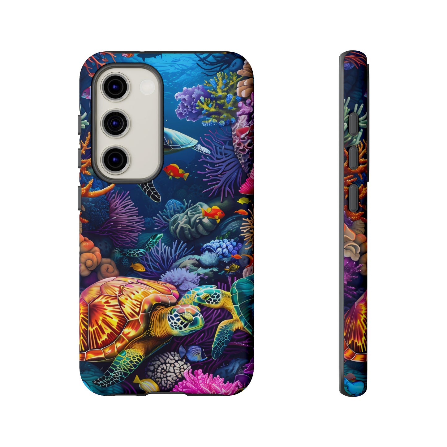 Reef Wonders