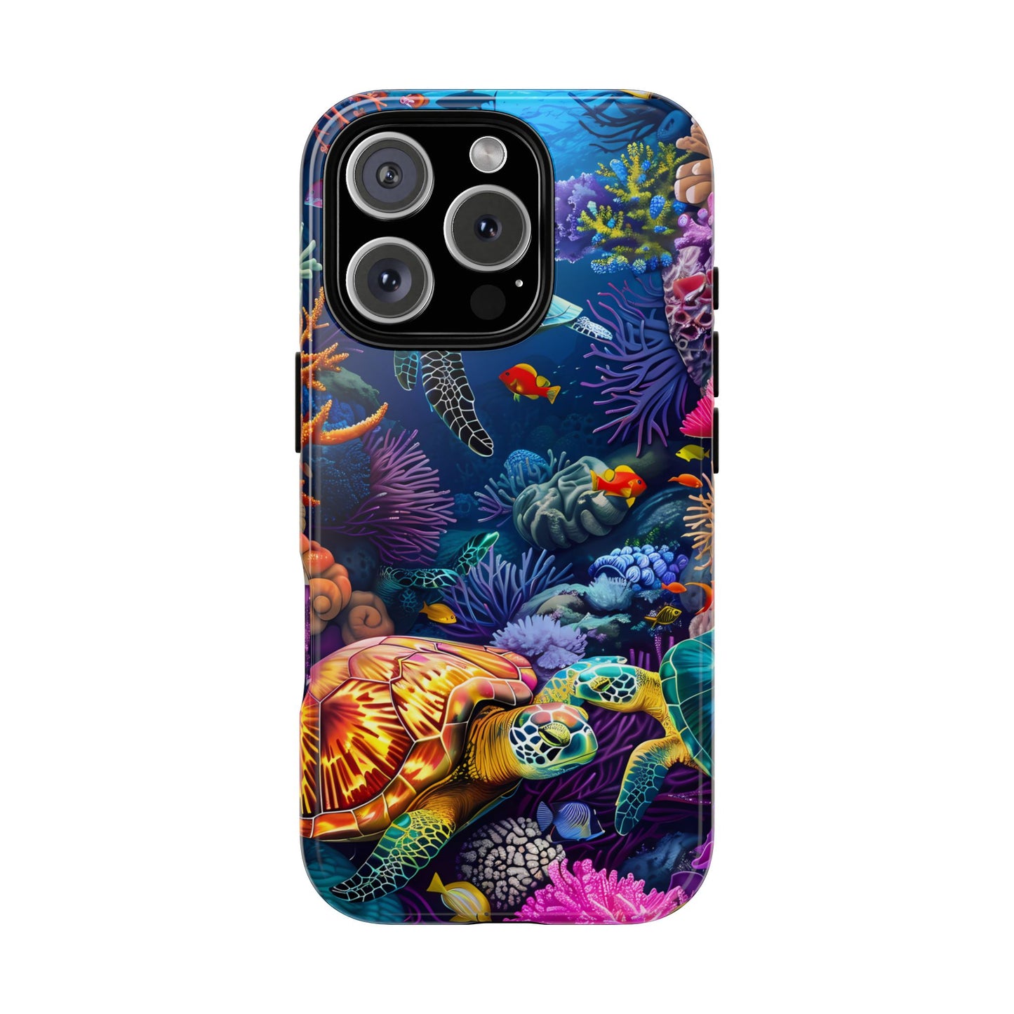 Reef Wonders