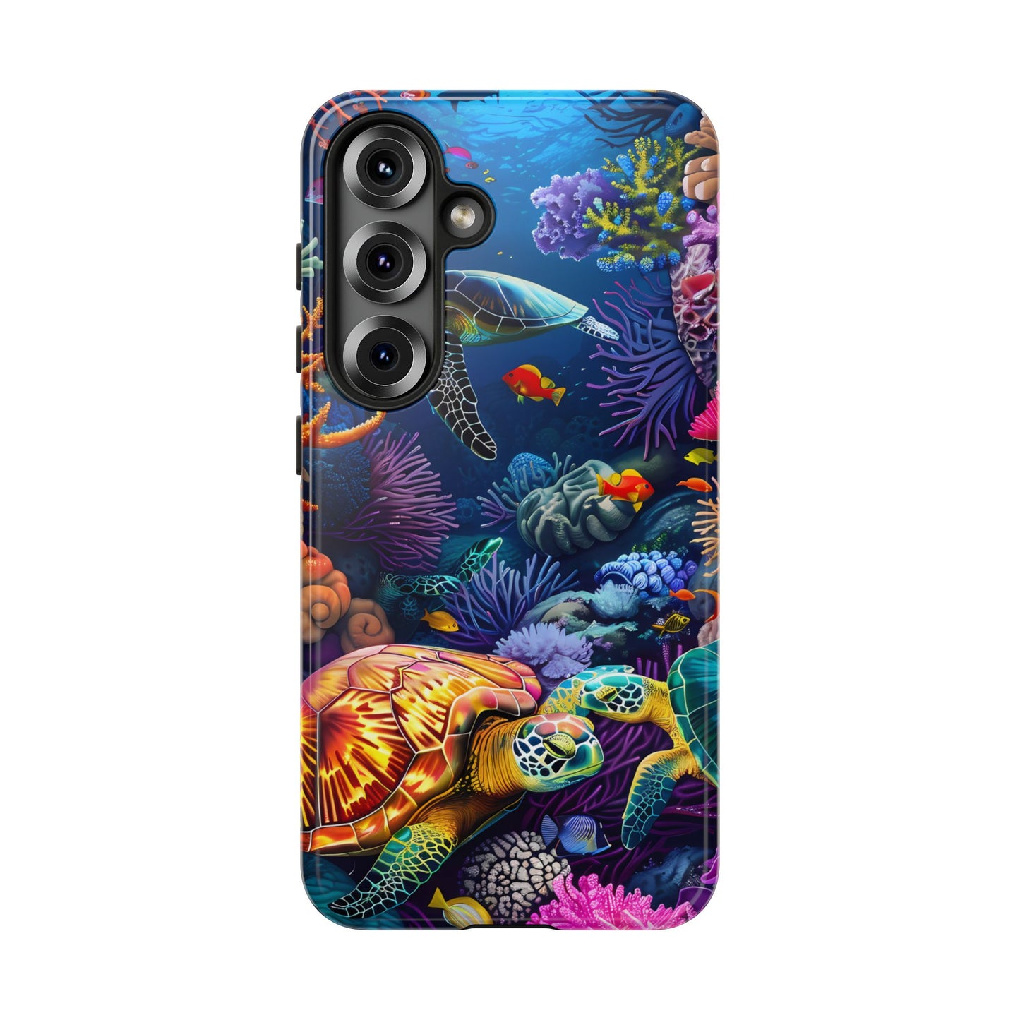 Reef Wonders