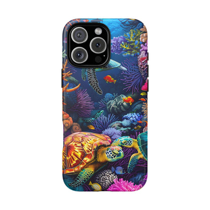 Reef Wonders