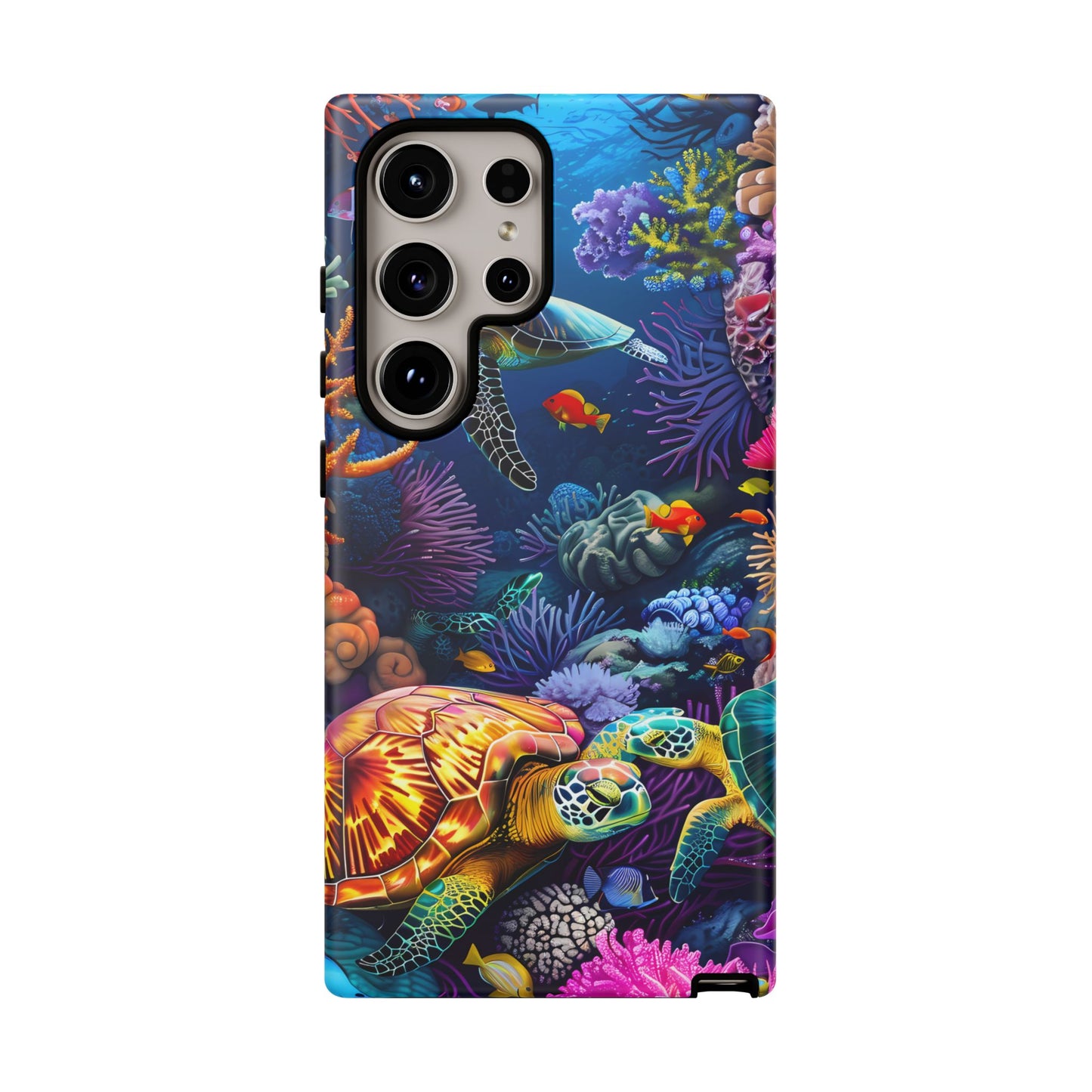 Reef Wonders
